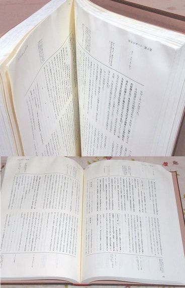 ミシュナ　ベラホート　ペアシーム　タニート　3冊　石川耕一郎訳 ミシュナ 1 (ユダヤ古典叢書) | 石川 耕一郎, 三好 迪 |本